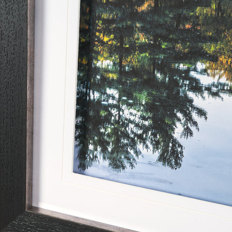 Fall Reflections by Dimitry Papkov Framed Art Print Matted under Glass from Mercana - Luna Furniture