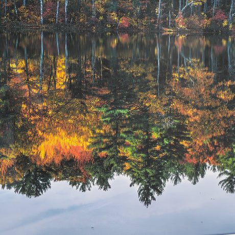Fall Reflections by Dimitry Papkov Framed Art Print Matted under Glass from Mercana - Luna Furniture