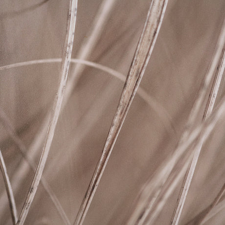 Summer Grass 3 by Mareike Bohmer Hand-Embellished Textured Framed Canvas Art Print from Mercana - Luna Furniture