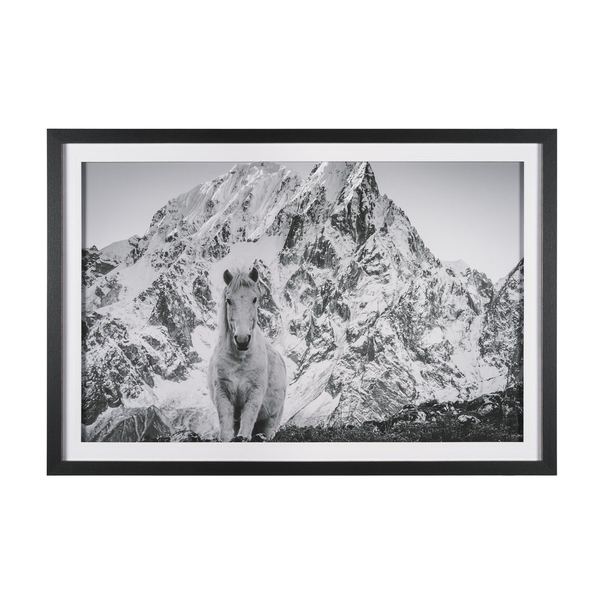Majestic Mane - Snowscape by Matt Roseveare Framed Art Print Matted under Glass from Mercana - Luna Furniture