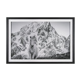 Majestic Mane - Snowscape by Matt Roseveare Framed Art Print Matted under Glass from Mercana - Luna Furniture