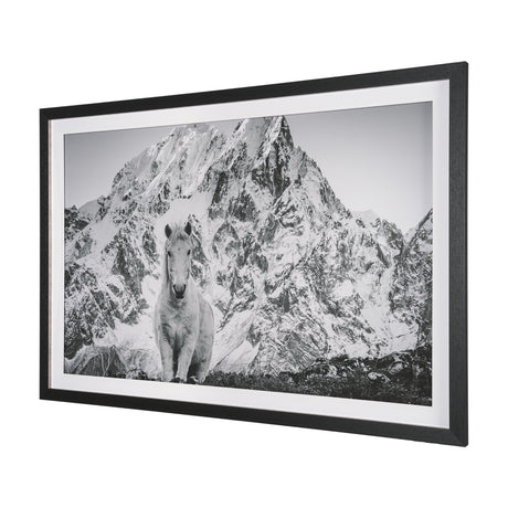Majestic Mane - Snowscape by Matt Roseveare Framed Art Print Matted under Glass from Mercana - Luna Furniture