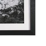 Majestic Mane - Snowscape by Matt Roseveare Framed Art Print Matted under Glass from Mercana - Luna Furniture