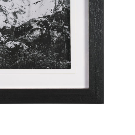 Majestic Mane - Snowscape by Matt Roseveare Framed Art Print Matted under Glass from Mercana - Luna Furniture