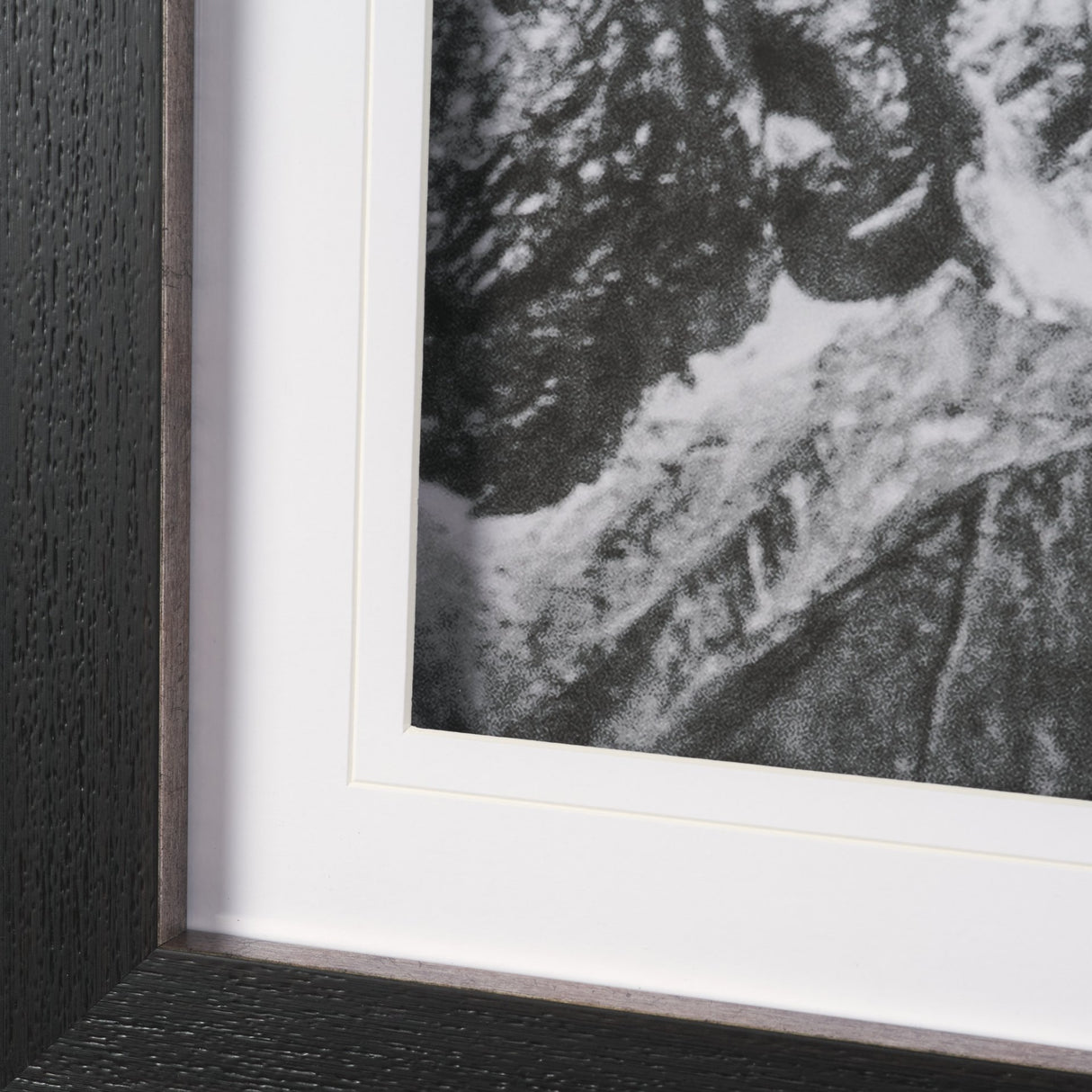 Majestic Mane - Snowscape by Matt Roseveare Framed Art Print Matted under Glass from Mercana - Luna Furniture