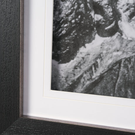 Majestic Mane - Snowscape by Matt Roseveare Framed Art Print Matted under Glass from Mercana - Luna Furniture