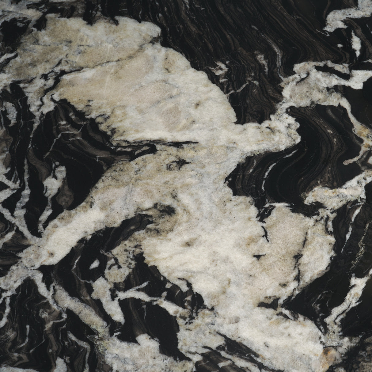 Marilyn 48" Black Forest Marble Black Wood Pedestal Round Dining Table from Mercana - Luna Furniture