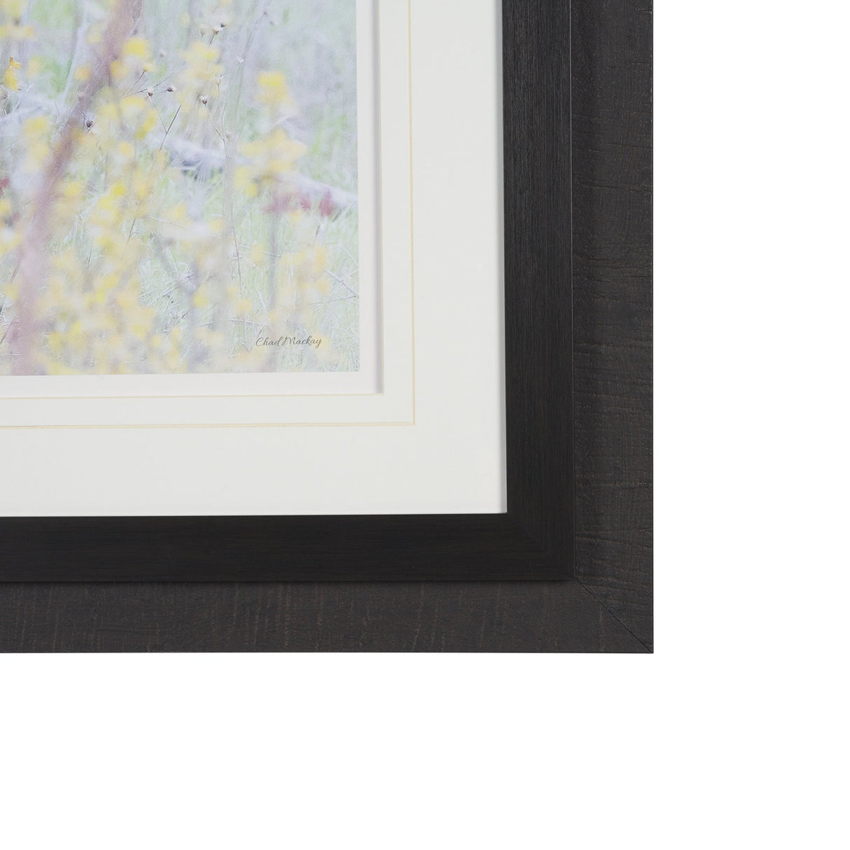 A Watchful Bond by Chad Mackay Hand Embelished Framed Art Print Matted under Glass from Mercana - Luna Furniture