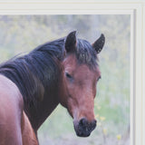 A Watchful Bond by Chad Mackay Hand Embelished Framed Art Print Matted under Glass from Mercana - Luna Furniture