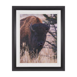Stop Horsing Around by Gary Blatter Hand Embelished Framed Art Print Matted under Glass from Mercana - Luna Furniture
