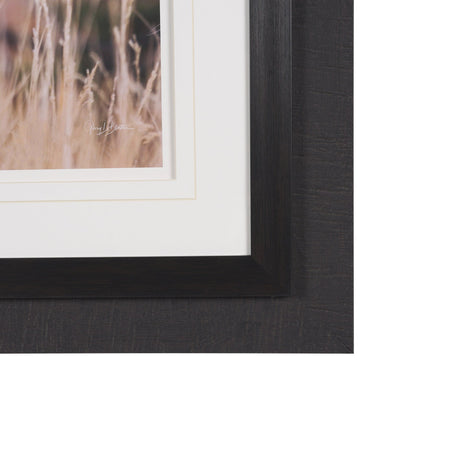 Stop Horsing Around by Gary Blatter Hand Embelished Framed Art Print Matted under Glass from Mercana - Luna Furniture
