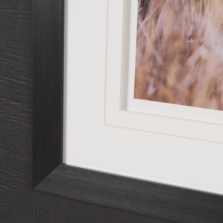 Stop Horsing Around by Gary Blatter Hand Embelished Framed Art Print Matted under Glass from Mercana - Luna Furniture