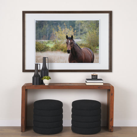 Charlie by Katelyn Mostert a Framed Photo Art Print Matted under Glass from Mercana - Luna Furniture