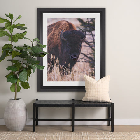Stop Horsing Around by Gary Blatter Hand Embelished Framed Art Print Matted under Glass from Mercana - Luna Furniture