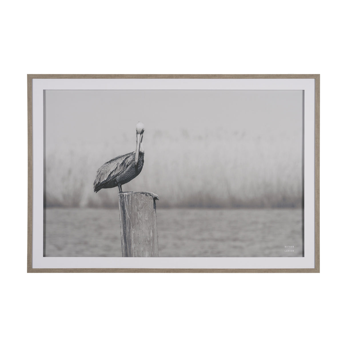 Pelican Stories by Nathan Larson Framed Art Print Matted under Glass from Mercana - Luna Furniture
