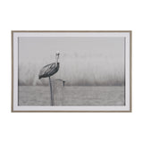 Pelican Stories by Nathan Larson Framed Art Print Matted under Glass from Mercana - Luna Furniture