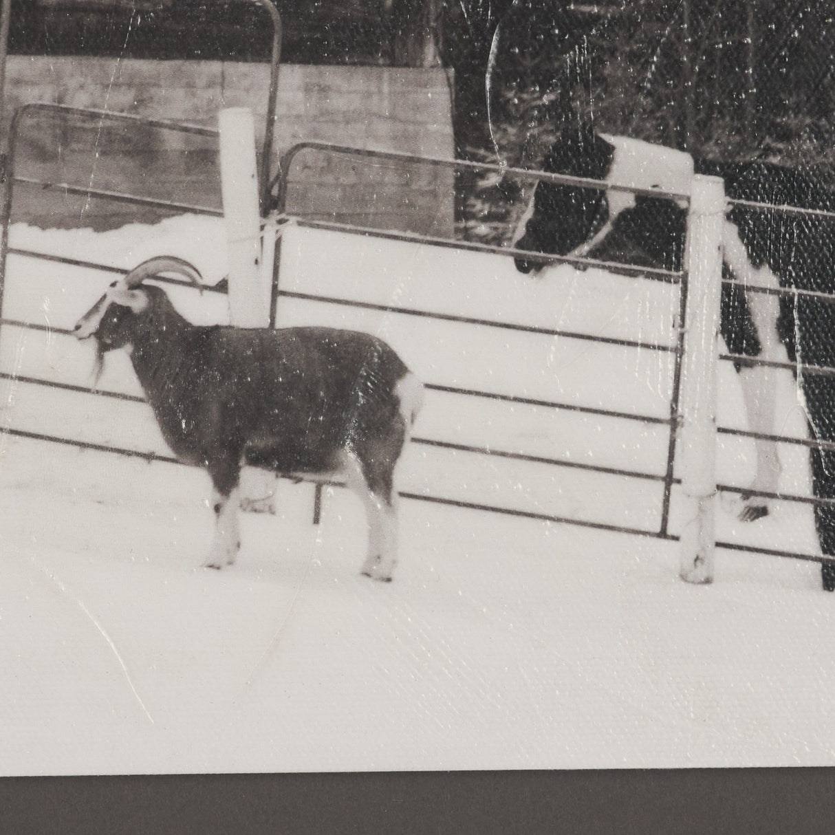 The Farm by Deborah Revell Hand Embelished Textured Framed Art Print Matted under Glass from Mercana - Luna Furniture