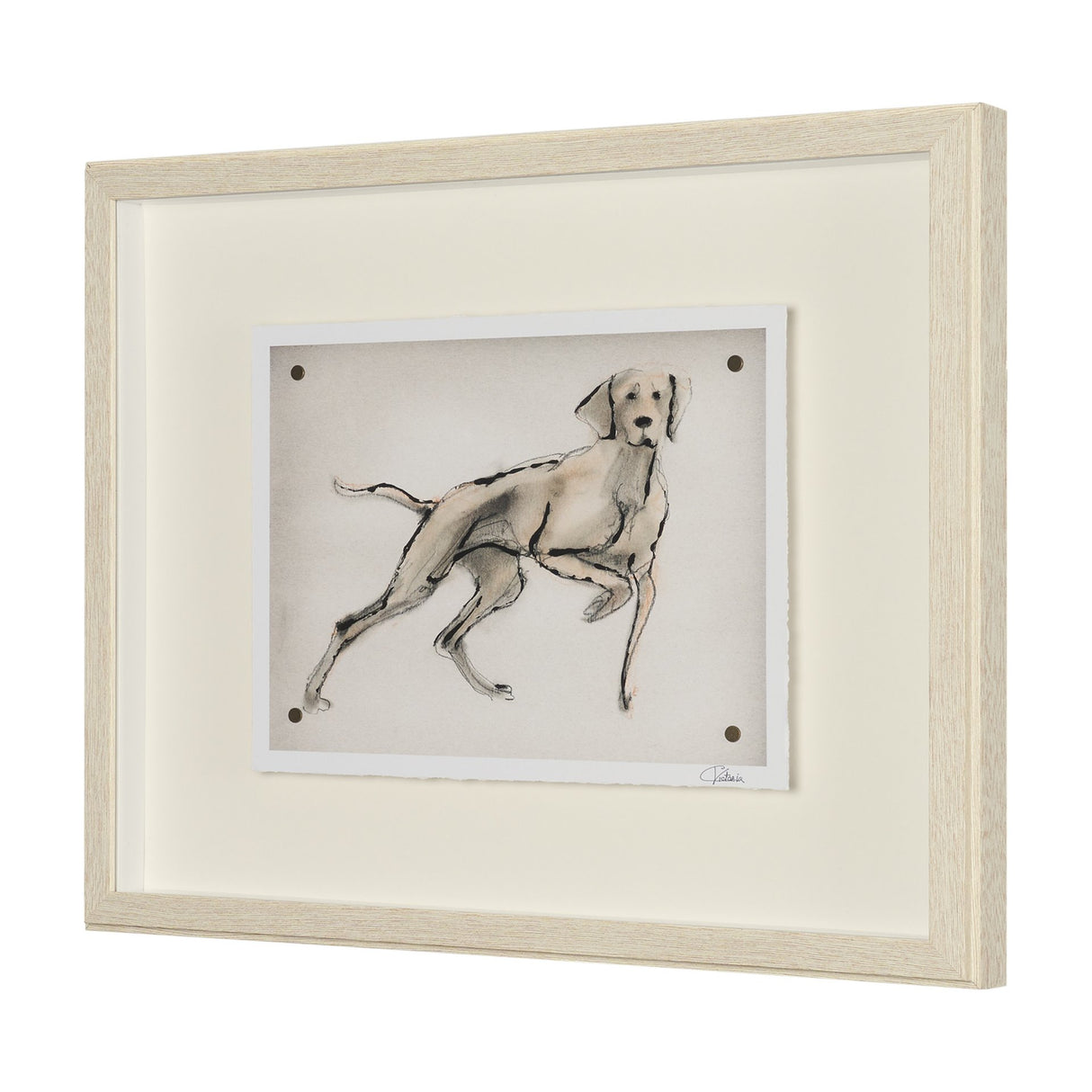 Playful Pup V by Mercana Studio Hand Embelished Framed Artwork Matted under Glass from Mercana - Luna Furniture