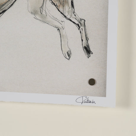 Playful Pup VI by Mercana Studio Hand Embelished Framed Artwork Matted under Glass from Mercana - Luna Furniture