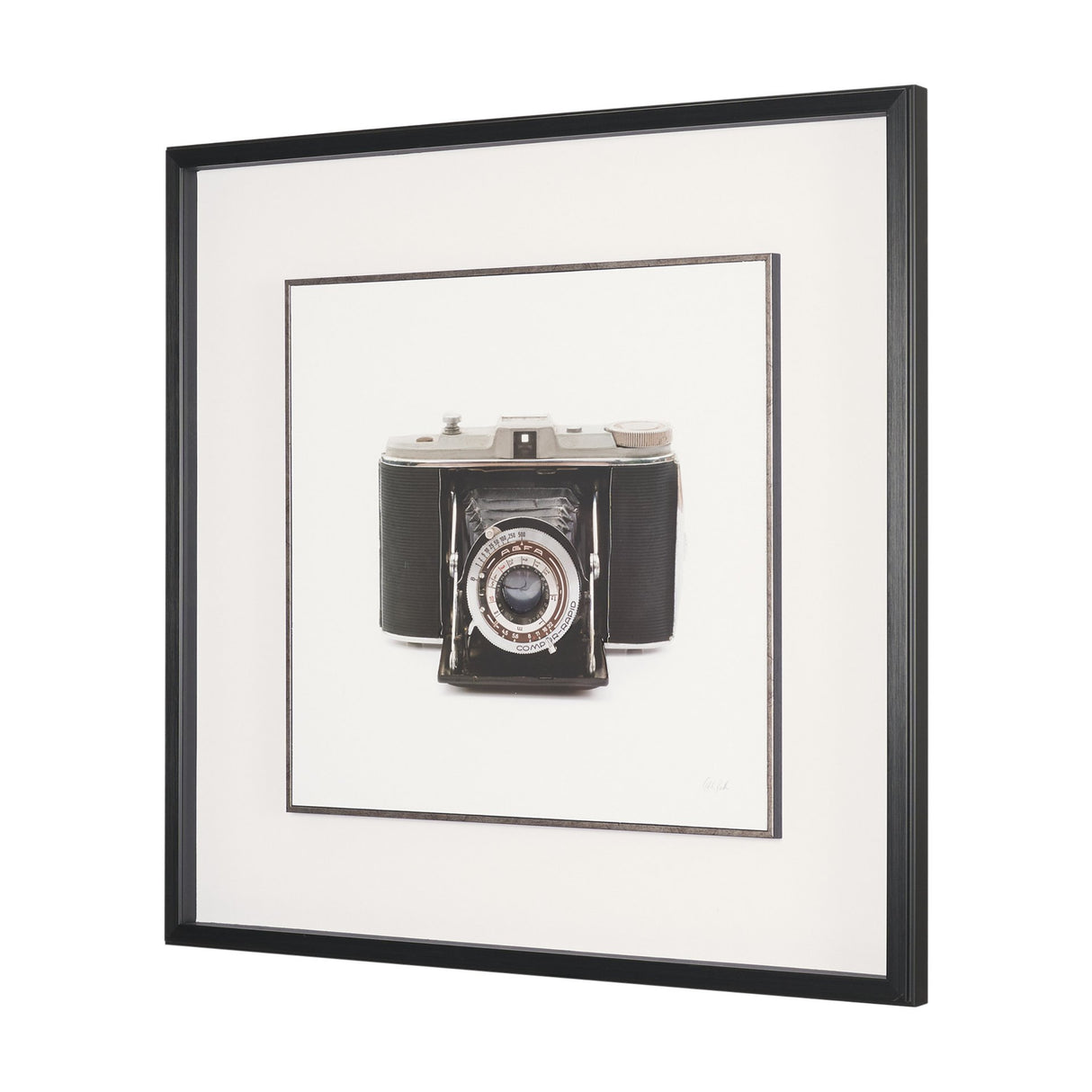 Camera by Deborah Revell Hand Embelished Framed Art Print Matted under Glass from Mercana - Luna Furniture