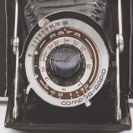 Camera by Deborah Revell Hand Embelished Framed Art Print Matted under Glass from Mercana - Luna Furniture