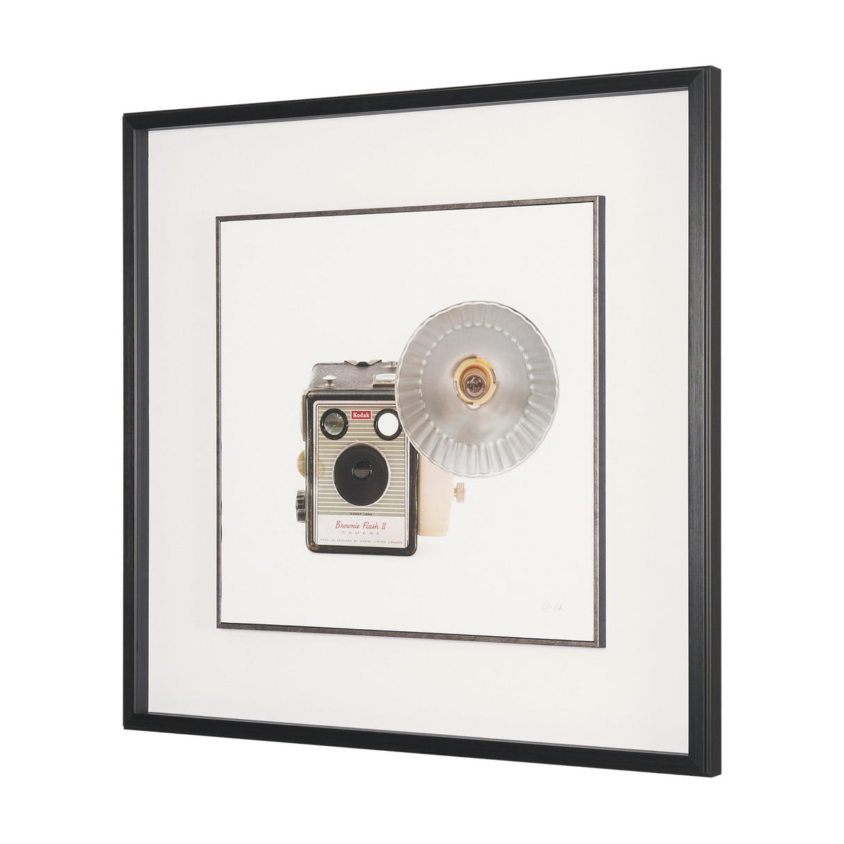 Flash Bulb Camera by Deborah Revell Hand Embelished Framed Art Print Matted under Glass from Mercana - Luna Furniture