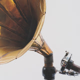 Gramaphone by Deborah Revell Hand Embelished Framed Art Print Matted under Glass from Mercana - Luna Furniture