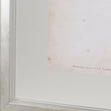Delicate Bird and Botanical IV by John James Audubon a Framed Art Print Matted under Glass from Mercana - Luna Furniture