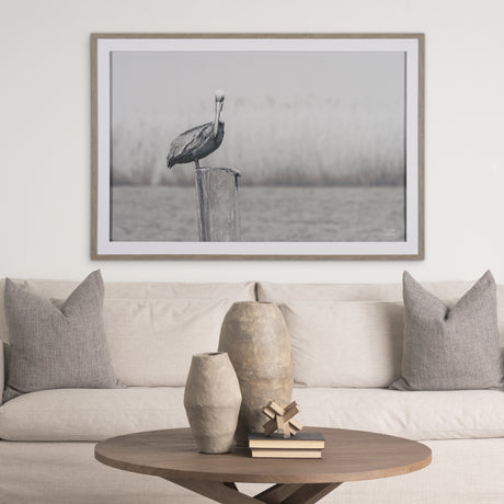 Pelican Stories by Nathan Larson Framed Art Print Matted under Glass from Mercana - Luna Furniture