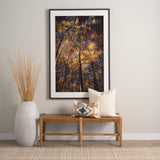 Leafy Shelter by Bobbie Goodrich a Hand Embellished Framed Photo Art Print Matted under Glass from Mercana - Luna Furniture