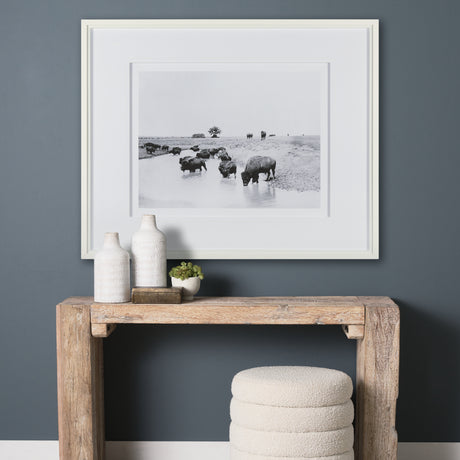 Buffalo Brook by Mercana Studio a Hand Embellished Textured Framed Art Photograph Matted under Glass from Mercana - Luna Furniture