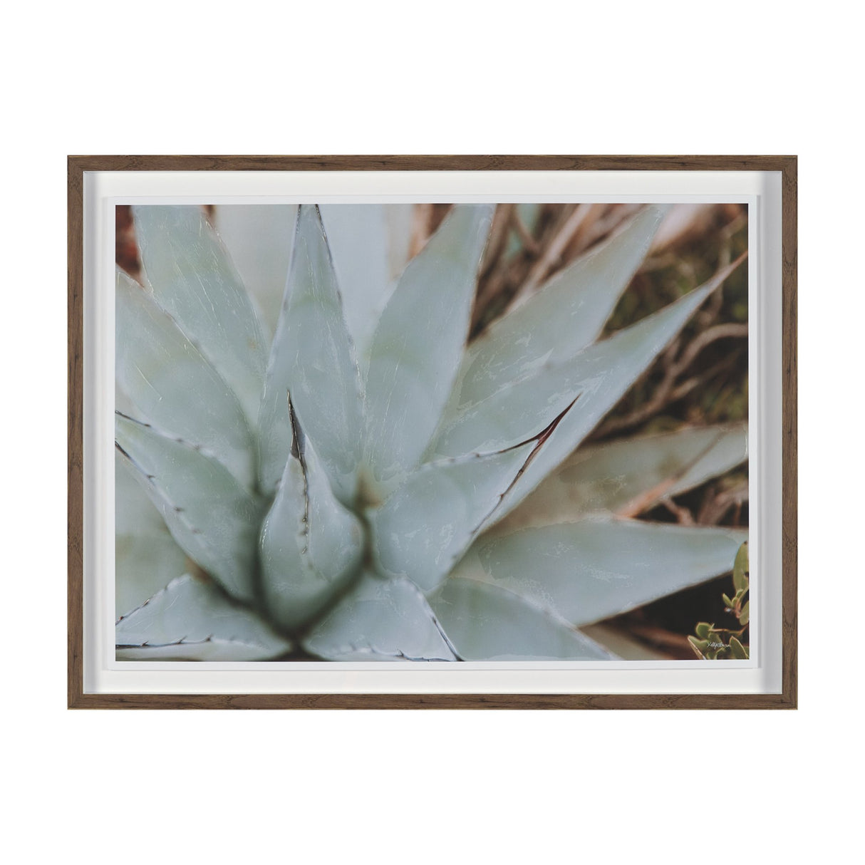 Sedona by Kelly Frere Hand-Embellished FramedPhoto Print Matted under Glass from Mercana - Luna Furniture