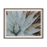 Sedona by Kelly Frere Hand-Embellished FramedPhoto Print Matted under Glass from Mercana - Luna Furniture