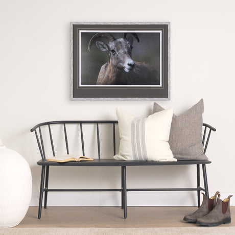 Big Horn Sheep by Chad Mackay a Hand Embellished Textured Framed Photo Art Print Matted under Glass from Mercana - Luna Furniture