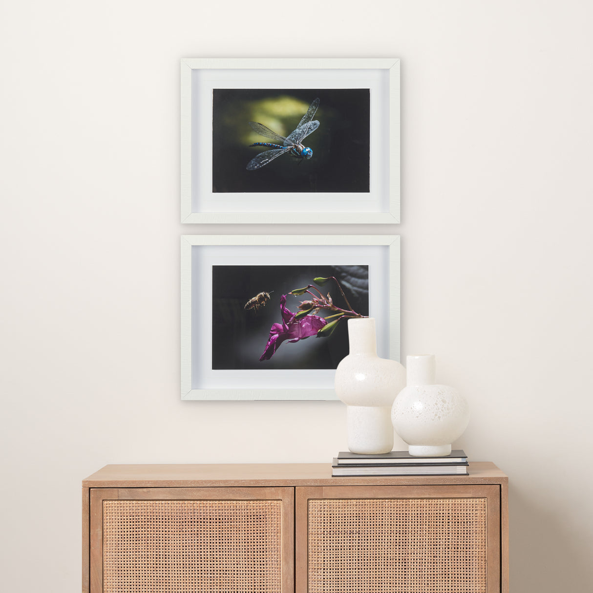 Honey Bee by Chad Mackay a Framed Photo Art Print Matted under Glass from Mercana - Luna Furniture