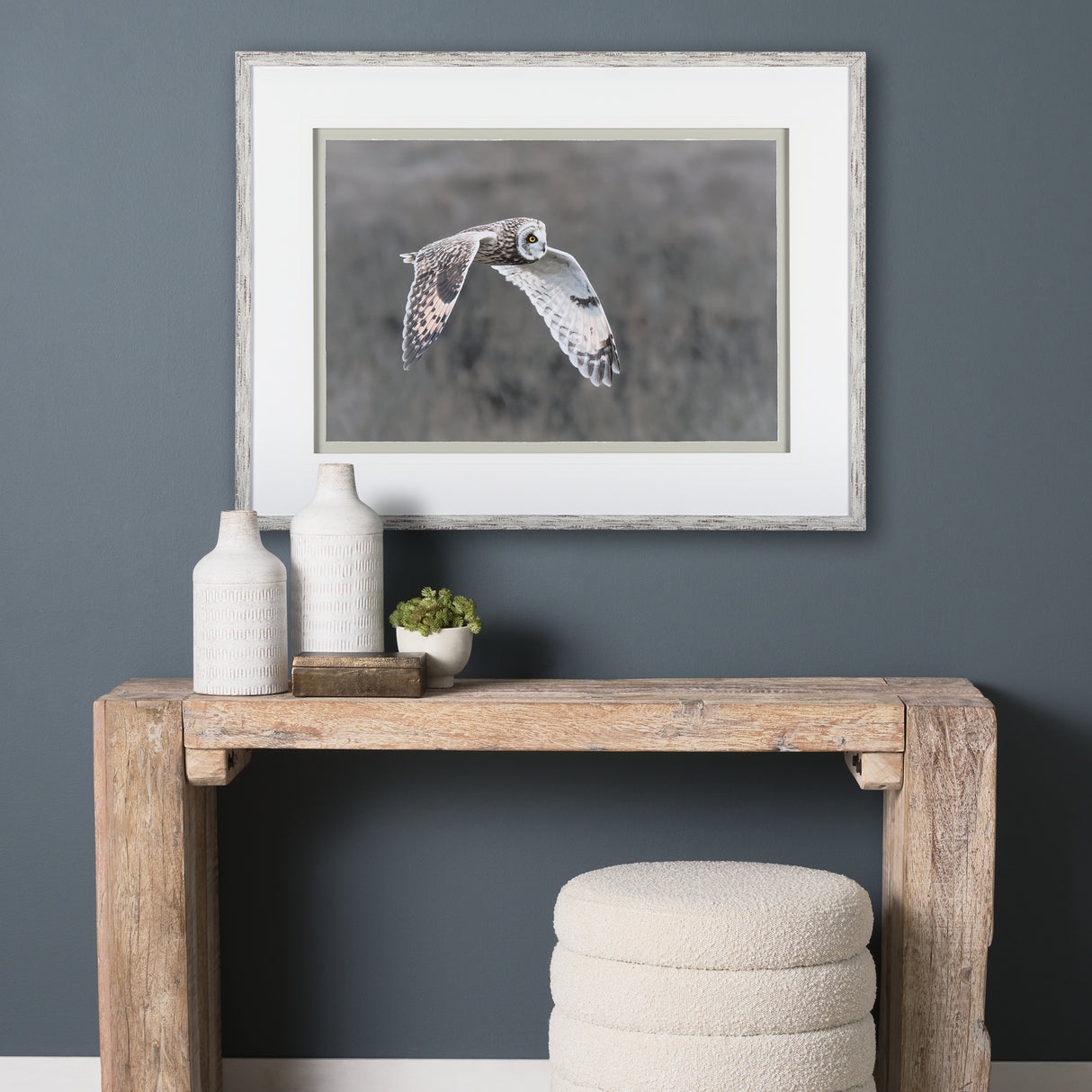 Owl in Flight by Chad Mackay a Framed Photo Art Print Matted under Glass from Mercana - Luna Furniture