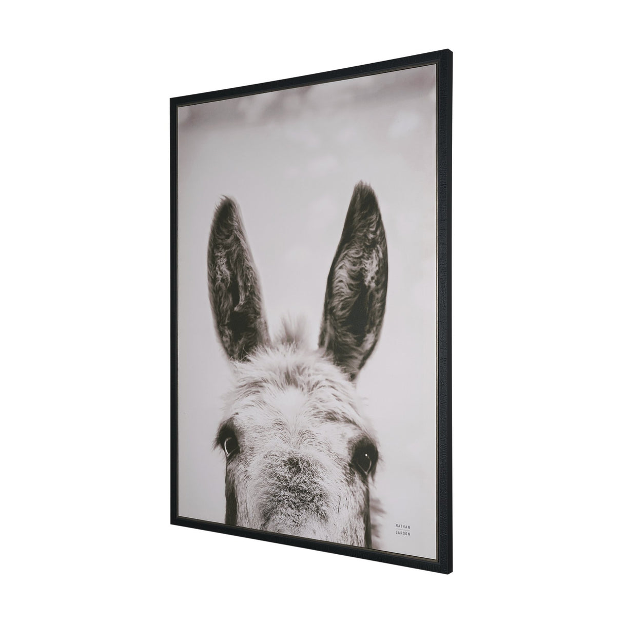 Downward Facing Donkey Sepia by Nathan Larson Textured Framed Canvas Photo Print from Mercana - Luna Furniture