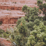 Sandstone Layers by Kelly Frere FramedPhoto Print Matted under Glass from Mercana - Luna Furniture
