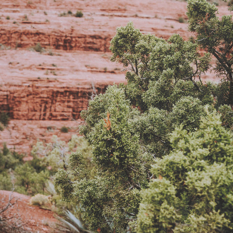 Sandstone Layers by Kelly Frere FramedPhoto Print Matted under Glass from Mercana - Luna Furniture
