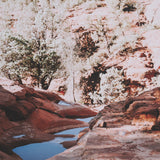 Sandstone in Sedona by Kelly Frere FramedPhoto Print Matted under Glass from Mercana - Luna Furniture