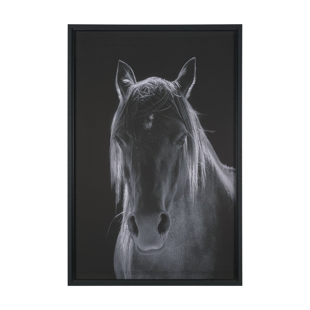 Shadowborn Majesty by Frank Ma Framed Photo Print Matted under Glass from Mercana - Luna Furniture