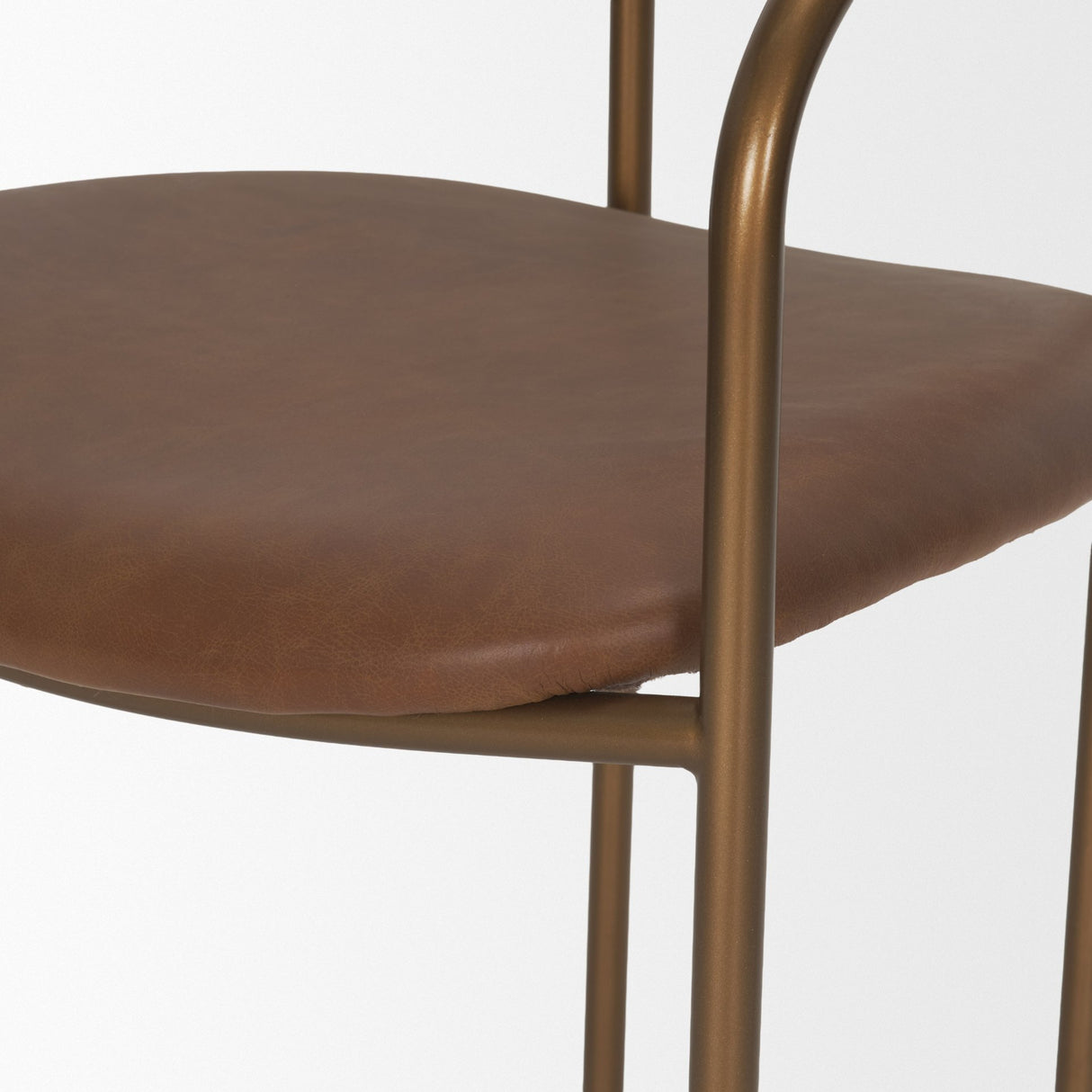 Parker Brown Leather Seat Gold Metal Frame Dining Chair, Set of 2 from Mercana - Luna Furniture