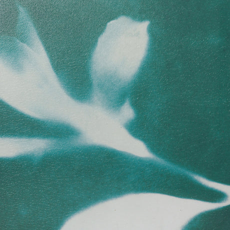 Untitled II by Liz St. Andre Textured Framed Artwork Matted under Glass from Mercana - Luna Furniture