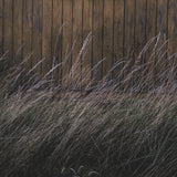 Beach Hut by Lotte Gronkjaer FramedPhoto Print Matted under Glass from Mercana - Luna Furniture