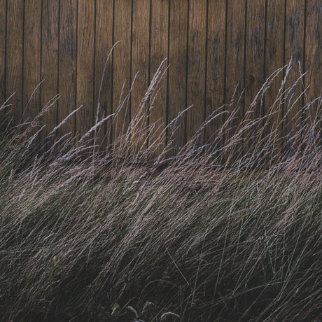 Beach Hut by Lotte Gronkjaer FramedPhoto Print Matted under Glass from Mercana - Luna Furniture