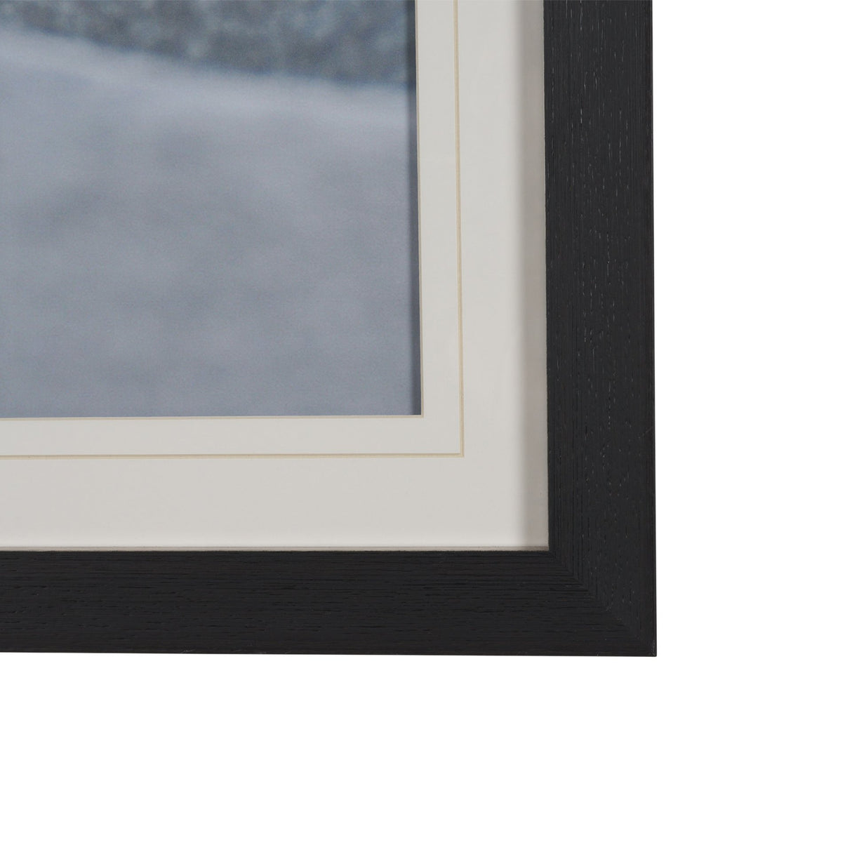 Look by Milan Malovrh FramedPhoto Print Matted under Glass from Mercana - Luna Furniture