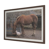 Sharing Lunch by Gert van den Bosch FramedPhoto Print Matted under Glass from Mercana - Luna Furniture