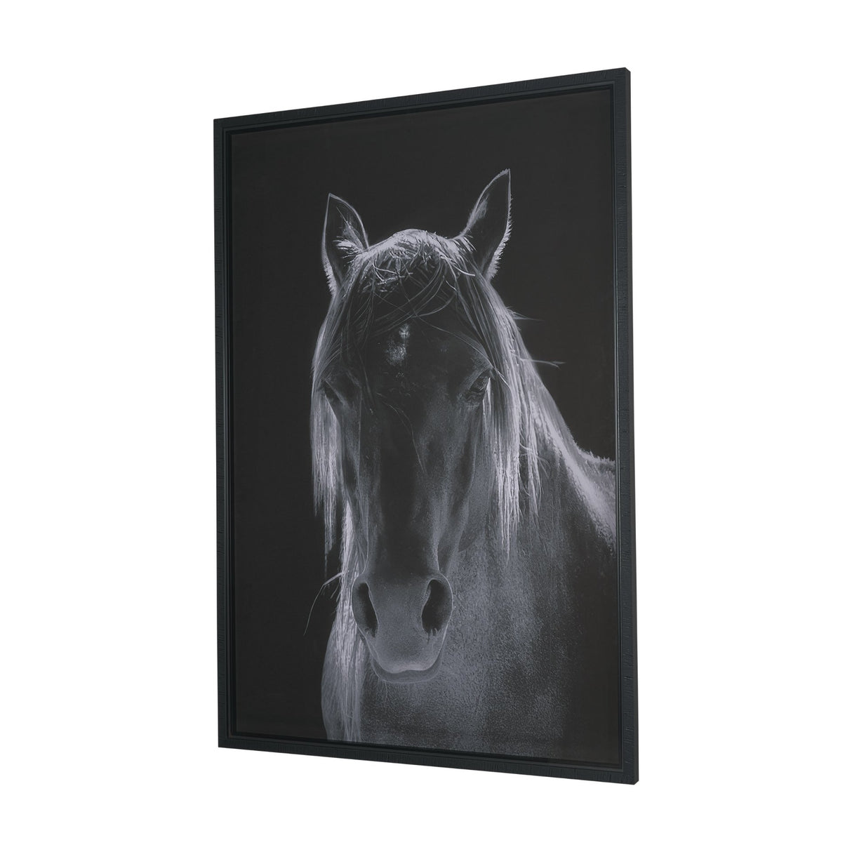Shadowborn Majesty by Frank Ma Framed Photo Print Matted under Glass from Mercana - Luna Furniture