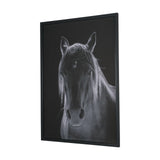 Shadowborn Majesty by Frank Ma Framed Photo Print Matted under Glass from Mercana - Luna Furniture
