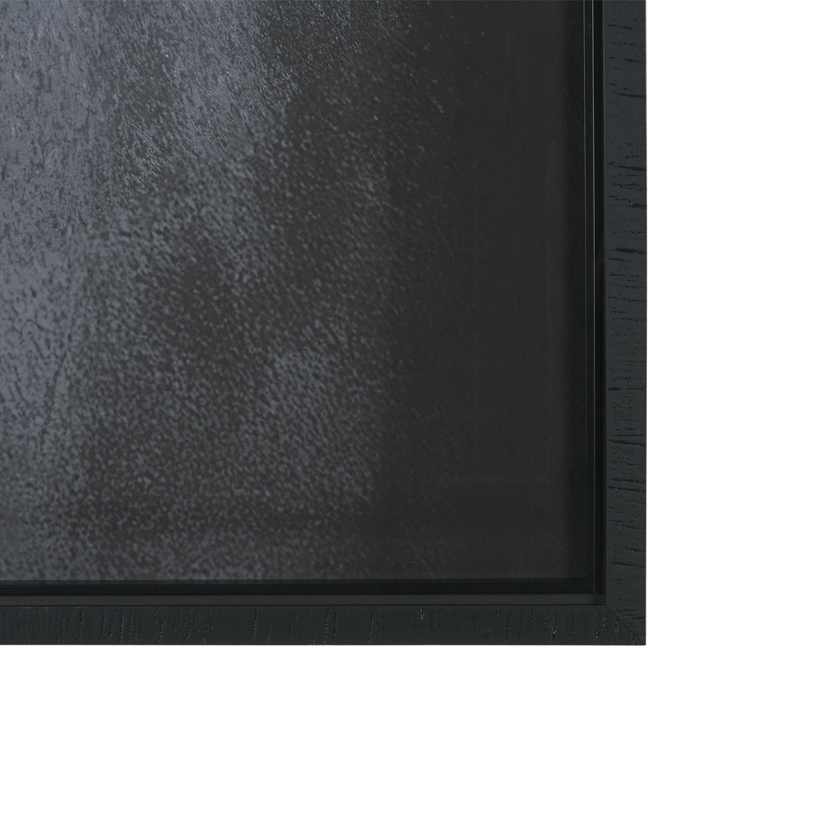 Shadowborn Majesty by Frank Ma Framed Photo Print Matted under Glass from Mercana - Luna Furniture